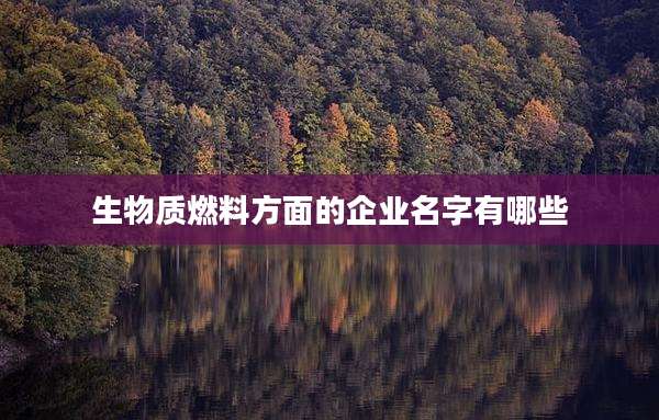 生物质燃料方面的企业名字有哪些
