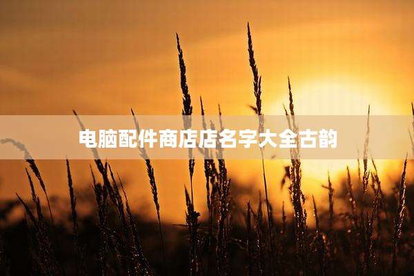 电脑配件商店店名字大全古韵