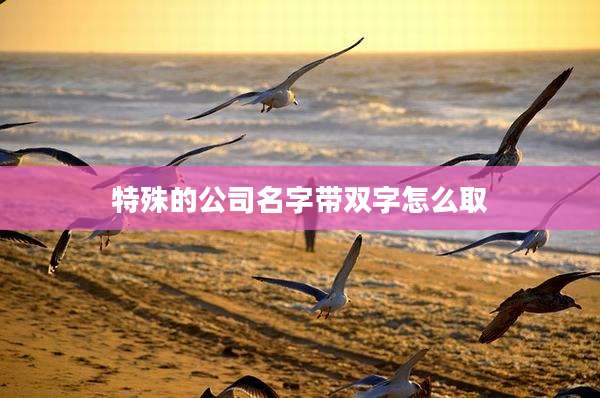 特殊的公司名字带双字怎么取