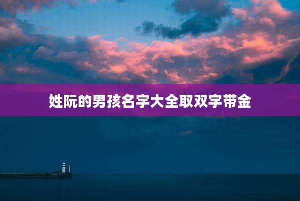 姓阮的男孩名字大全取双字带金