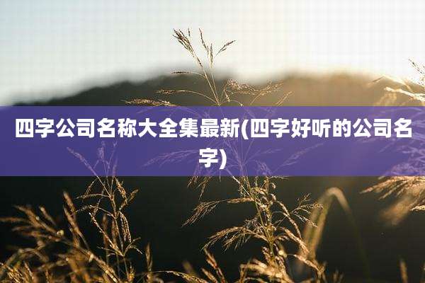 四字公司名称大全集最新(四字好听的公司名字)