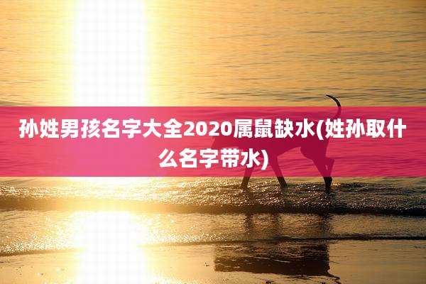 孙姓男孩名字大全2020属鼠缺水(姓孙取什么名字带水)