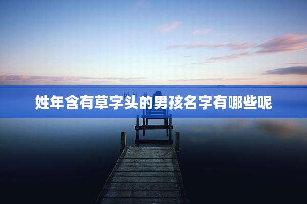 姓年含有草字头的男孩名字有哪些呢