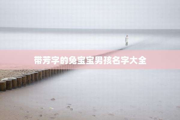 带芳字的兔宝宝男孩名字大全