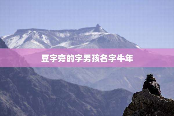 豆字旁的字男孩名字牛年