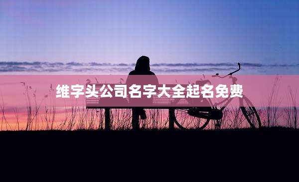 维字头公司名字大全起名免费