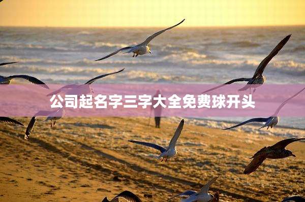 公司起名字三字大全免费球开头