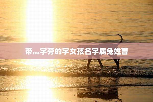 带灬字旁的字女孩名字属兔姓曹