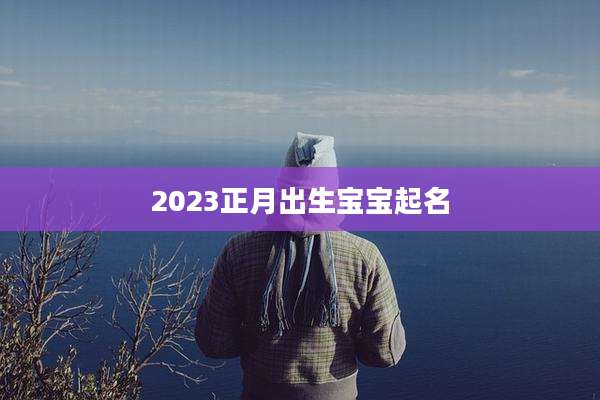 2023正月出生宝宝起名