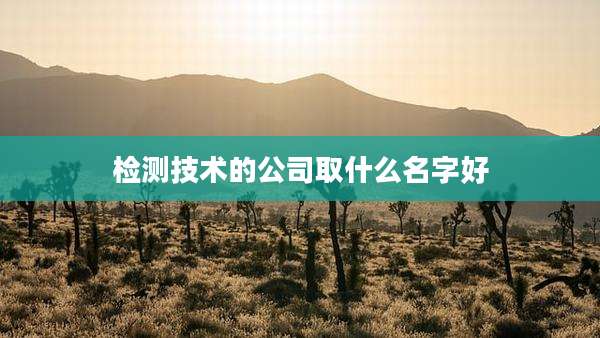 检测技术的公司取什么名字好