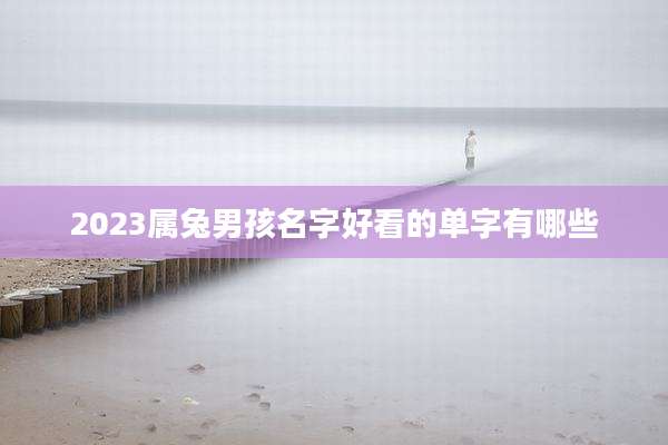 2023属兔男孩名字好看的单字有哪些