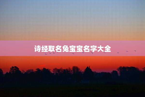 诗经取名兔宝宝名字大全