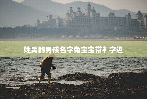 姓禹的男孩名字兔宝宝带衤字边