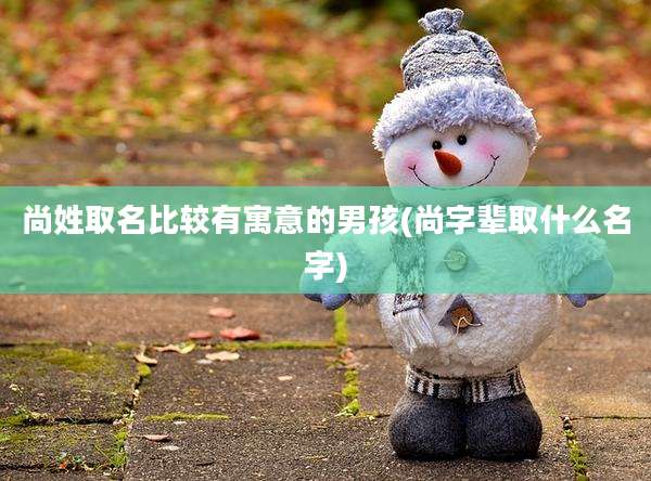 尚姓取名比较有寓意的男孩(尚字辈取什么名字)
