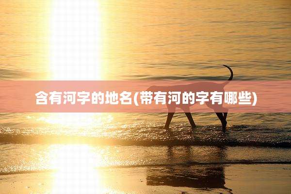 含有河字的地名(带有河的字有哪些)
