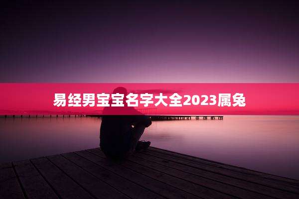易经男宝宝名字大全2023属兔