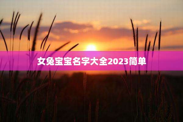 女兔宝宝名字大全2023简单