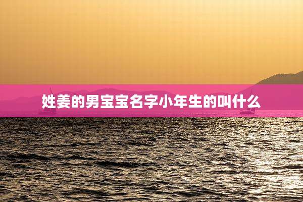 姓姜的男宝宝名字小年生的叫什么