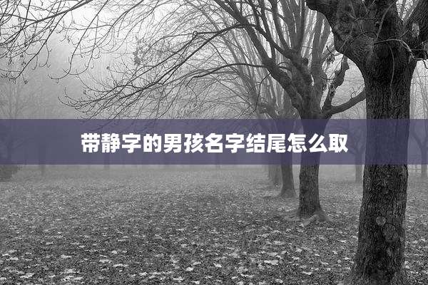 带静字的男孩名字结尾怎么取