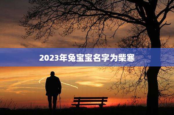 2023年兔宝宝名字为柴寒