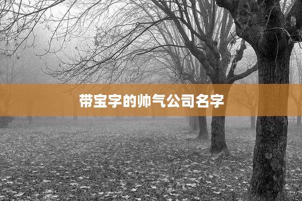 带宝字的帅气公司名字