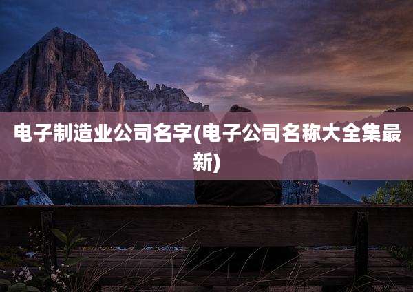 电子制造业公司名字(电子公司名称大全集最新)