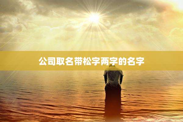 公司取名带松字两字的名字