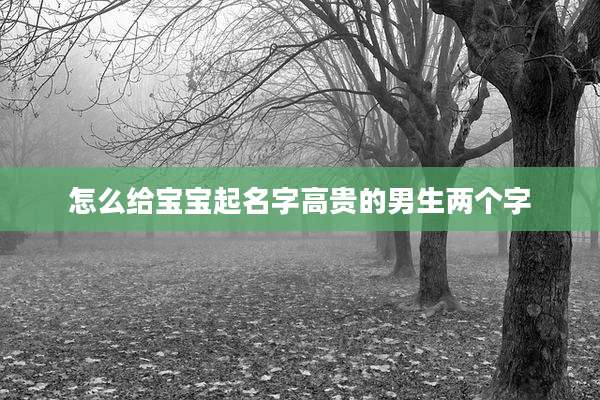 怎么给宝宝起名字高贵的男生两个字