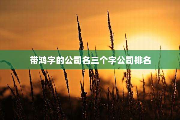 带鸿字的公司名三个字公司排名