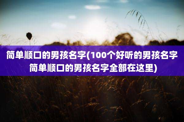 简单顺口的男孩名字(100个好听的男孩名字 简单顺口的男孩名字全部在这里)