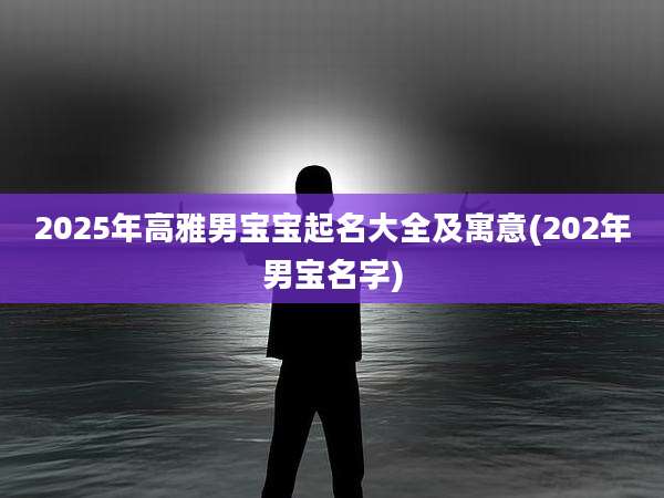 2025年高雅男宝宝起名大全及寓意(202年男宝名字)