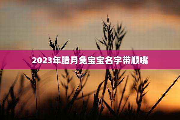 2023年腊月兔宝宝名字带顺嘴
