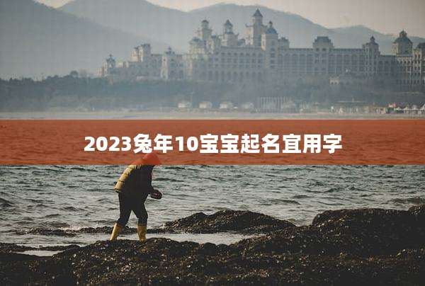 2023兔年10宝宝起名宜用字