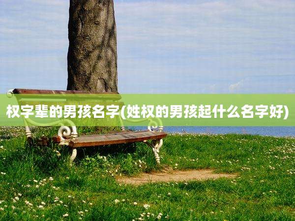 权字辈的男孩名字(姓权的男孩起什么名字好)