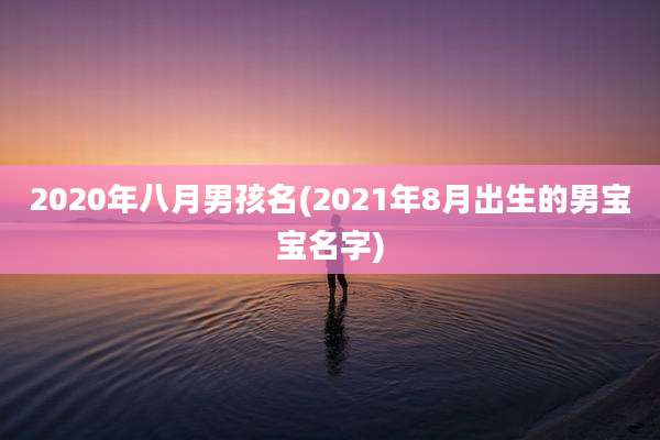 2020年八月男孩名(2021年8月出生的男宝宝名字)