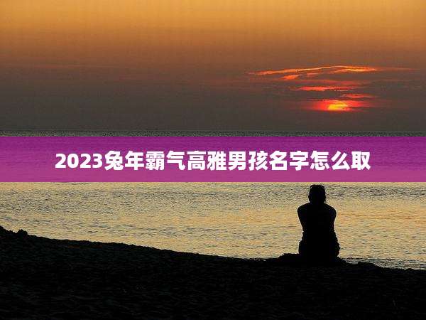 2023兔年霸气高雅男孩名字怎么取