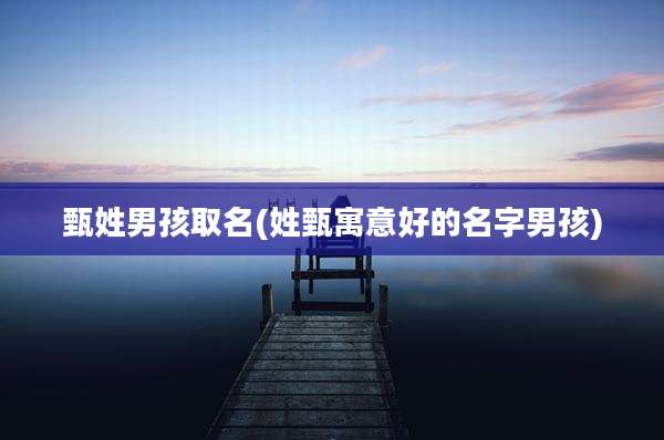 甄姓男孩取名(姓甄寓意好的名字男孩)