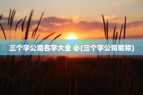 三个字公司名字大全 必(三个字公司昵称)