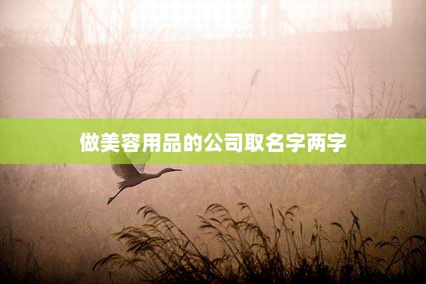 做美容用品的公司取名字两字