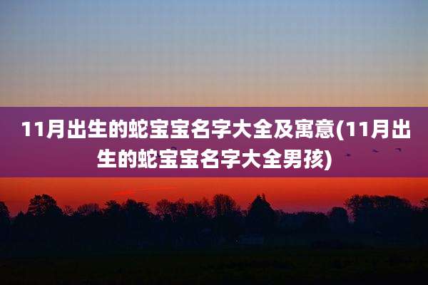11月出生的蛇宝宝名字大全及寓意(11月出生的蛇宝宝名字大全男孩)