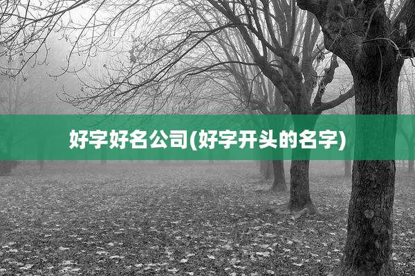 好字好名公司(好字开头的名字)