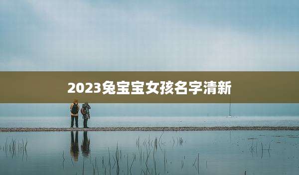 2023兔宝宝女孩名字清新