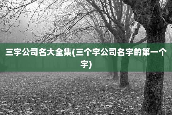 三字公司名大全集(三个字公司名字的第一个字)