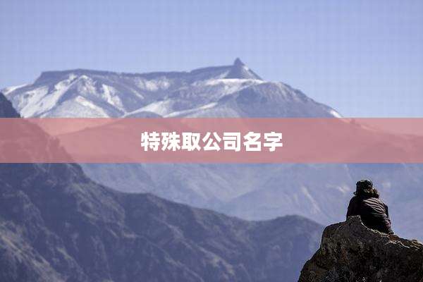 特殊取公司名字