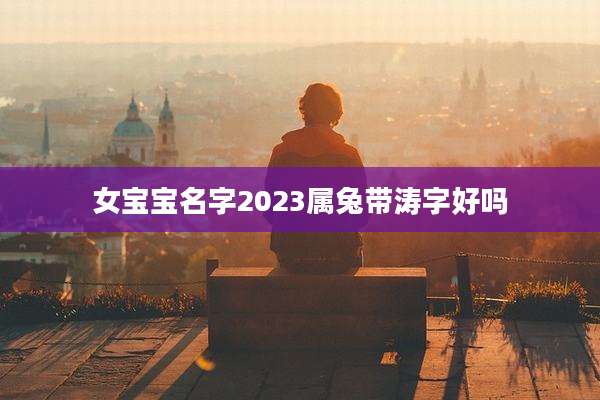 女宝宝名字2023属兔带涛字好吗