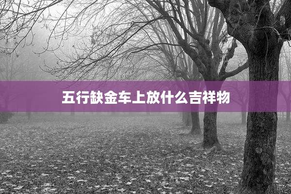 五行缺金车上放什么吉祥物