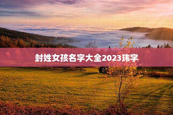 封姓女孩名字大全2023玮字