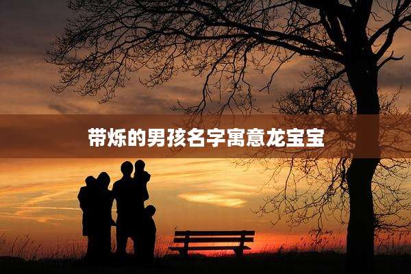 带烁的男孩名字寓意龙宝宝