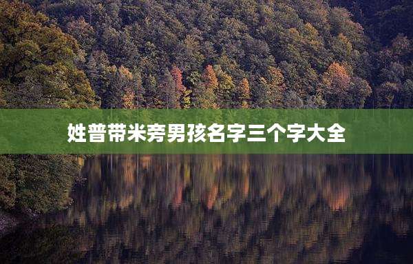 姓普带米旁男孩名字三个字大全