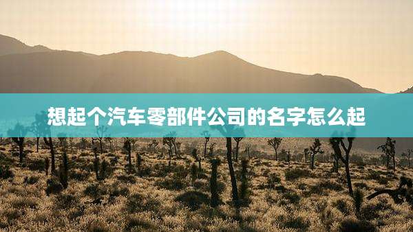 想起个汽车零部件公司的名字怎么起